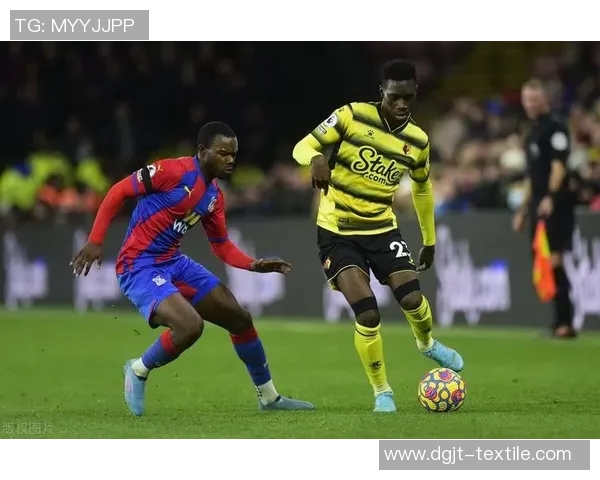 弗鲁米与弗拉门比赛前瞻分析及胜负预测详解