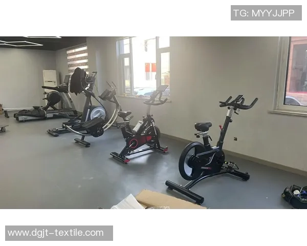 探索附近体育健身器材的多样选择助你轻松实现健康生活目标